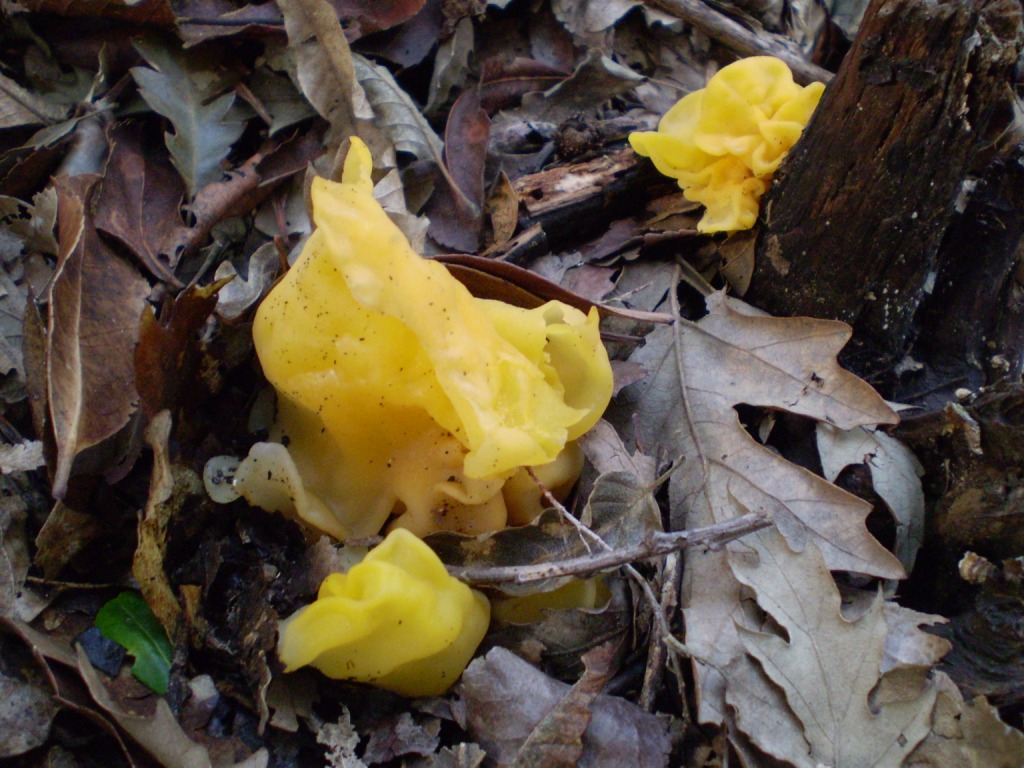 escursione 02 ottobre